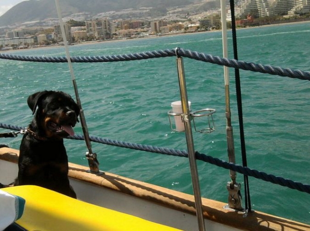un paseo agradable